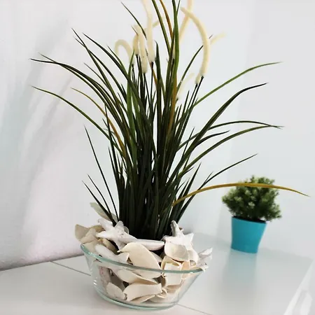 Luxury House In Apartment El Medano (Tenerife)