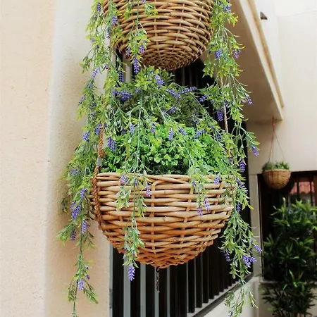 Luxury House In Apartament El Médano