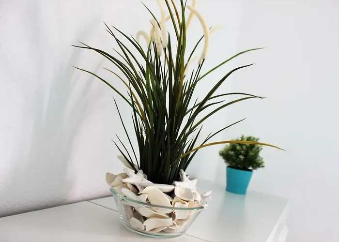 Luxury House In Апартаменты Эль-Медано